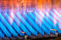 Woolmersdon gas fired boilers